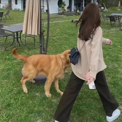 人前叫多莉,人后叫凯蒂